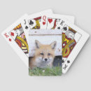 Recherche de kits jeux de cartes Faune