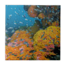 Recherche de barrière carreaux Océan