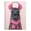 Search for llama notebooks Steampunk