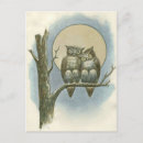 Search for vintage bird drawing postcards Owls