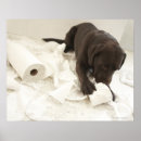 Recherche de parqueter posters Brun