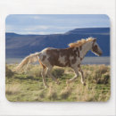Recherche de etalon tapis souris Ranch
