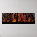 Search for forest fire posters Sunset