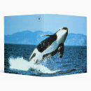 Search for killer binders Ocean