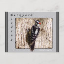 Search for wildlife art postcards Digital