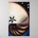 Recherche de fibonacci posters Ratio d'or