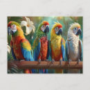 Recherche de perroquet mignon cartes postales Coloré