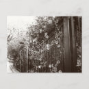 Search for tilt shift Black and white