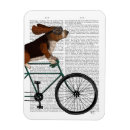 Recherche de basset hound Bassett hound dogs