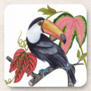 Recherche de oiseau exotique dessous de verres Toucan
