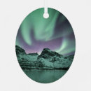 Search for mountains oval ornaments Winter