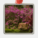 Search for south carolina state ornaments Charleston