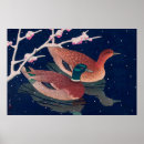 Recherche de canards posters Colvert