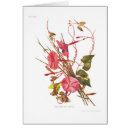 Search for ipomoea Vintage