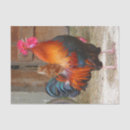 Recherche de rhodie rouge Oiseau