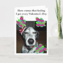 Search for spotted dog cards Humourous