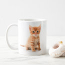 Search for orange kitten mugs Cute animals