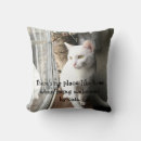 Search for cat sitting pillows Whiskers