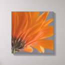 Recherche de gerber impressions sur toile Orange