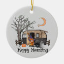 Search for travel trailer ornaments Outdoors