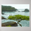 Search for rocky shores posters Nature