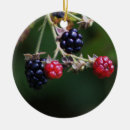 Search for branches ornaments Berries