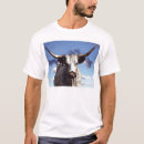 Search for longhorn tshirts Cattle