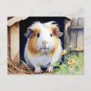 Recherche de cochons cartes postales Rongeur
