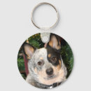 Search for blue heeler accessories Canine