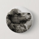 Recherche de chameaux badges Animaux