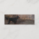 Recherche de petit chien cartes visite Chiens