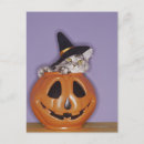 Search for witch pumpkin postcards Humour
