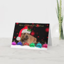 Search for border terrier christmas cards Dogs