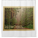 Search for redwoods Vintage travel