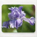 Search for springtime mousepads Blossom