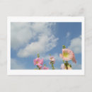 Search for hollyhocks postcards Summer