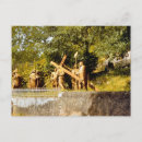 Recherche de lourdes cartes postales Jésus