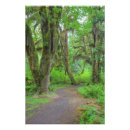 Search for jamie art Forest