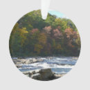 Search for rapids ornaments Landscape
