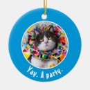 Search for grumpy cat ornaments Humour