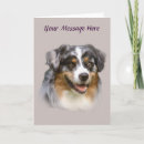 Search for australian shepherd cards Herding