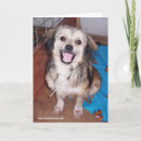 Recherche de jumping vœux cartes Chien