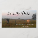 Search for texas save the dates Rustic