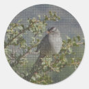 Search for birdwatcher stickers Birder
