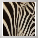 Recherche de copie de zèbre posters Animal