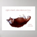 Search for pets life posters Cats