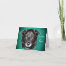 Search for labrador thank you cards Retriever