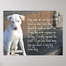 Recherche de citations de chien posters Pour tous