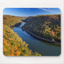 Search for hardwood mousepads Forest
