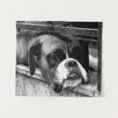 Recherche de chiens boxeur art Noir